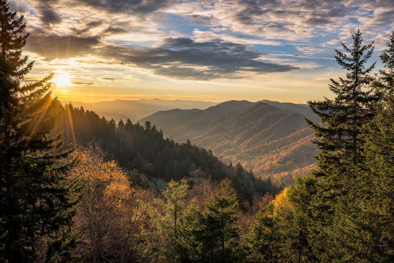 Cubs Cove Villa Gatlinburg Eksteriør billede