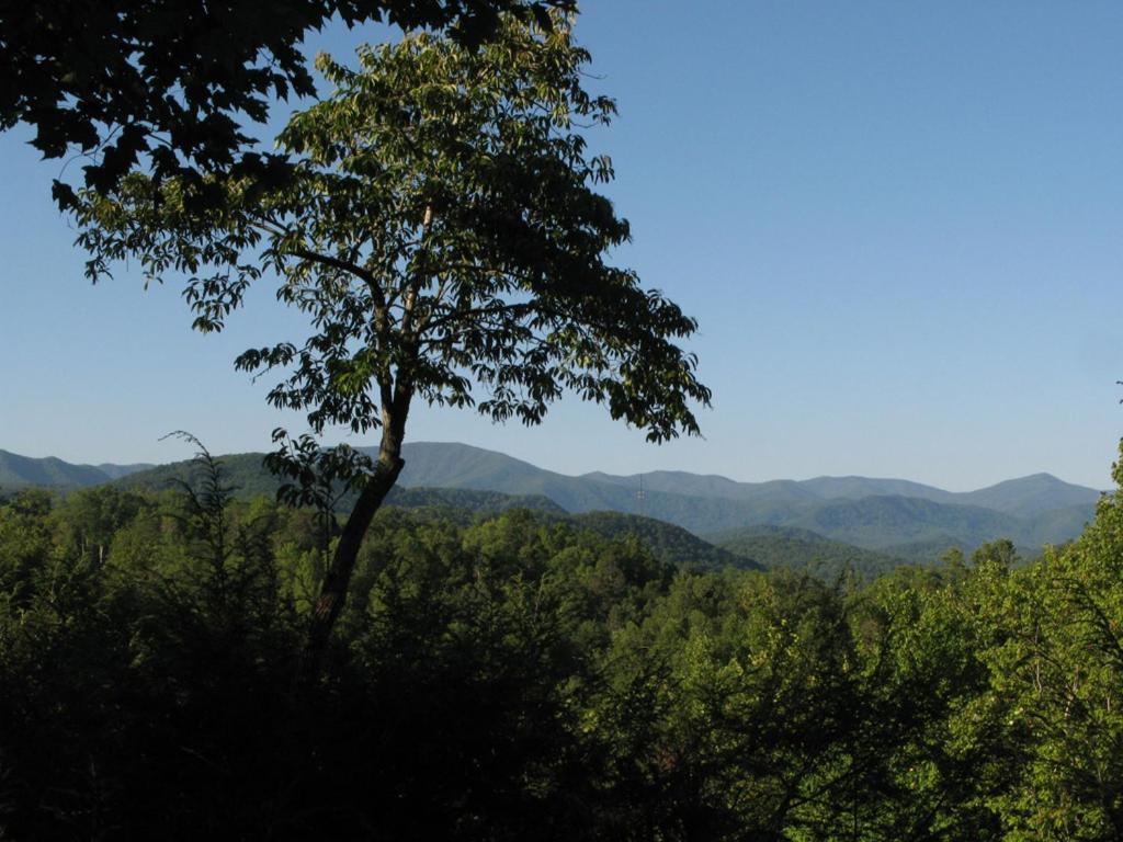 Cubs Cove Villa Gatlinburg Eksteriør billede