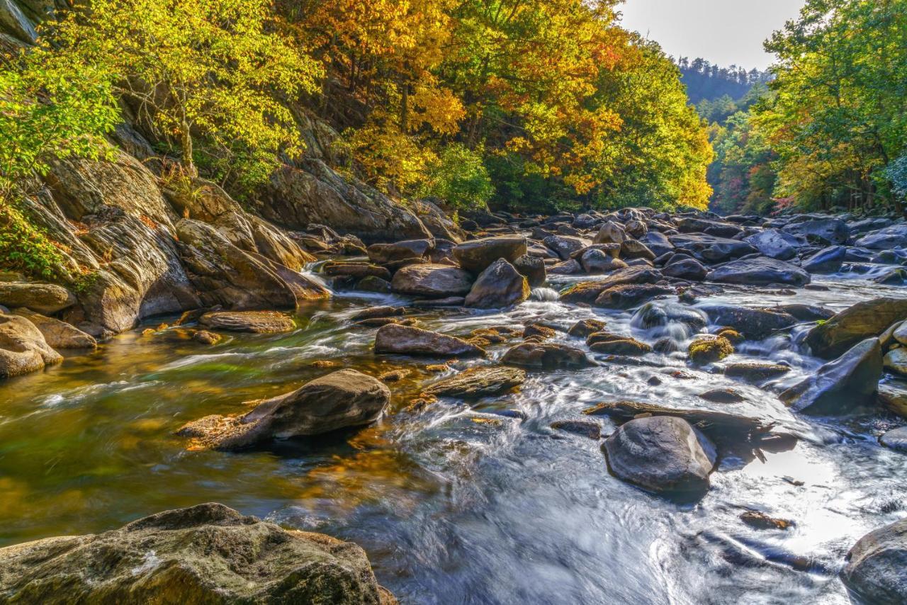 Cubs Cove Villa Gatlinburg Eksteriør billede
